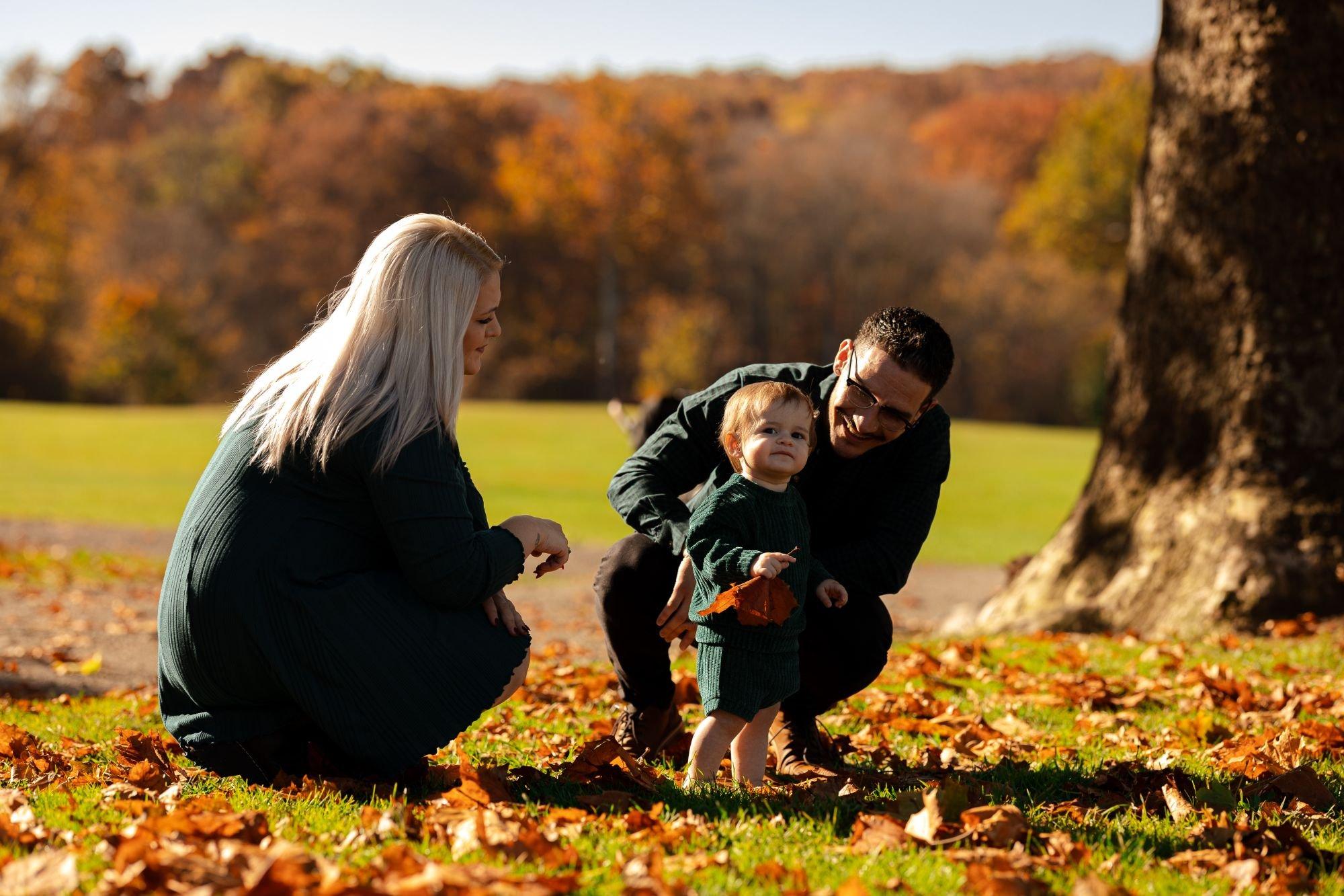 carousel-hero-element image-4